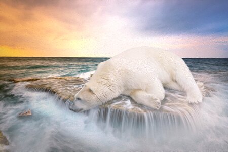 Waters sea nature