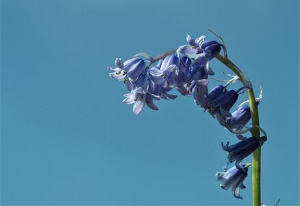 Outdoors nature blue power