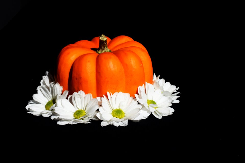 Orange black pumpkin