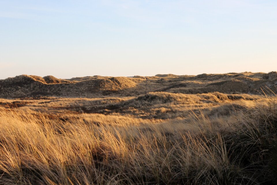 North sea nature sky