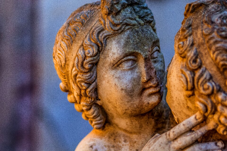 Domus sculpture art