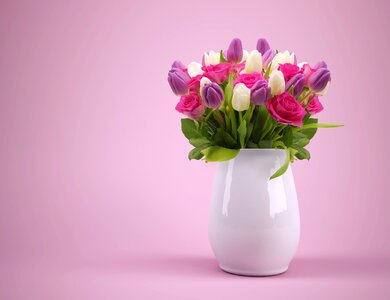 Flowerpot tulips colorful photo