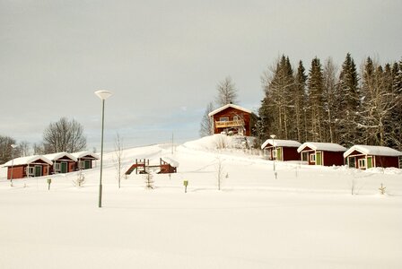 Frozen tree holiday village