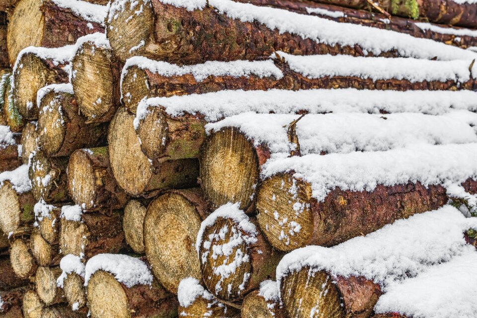 Nature firewood holzstapel