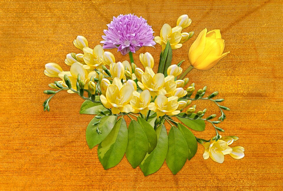 Plant nature floral