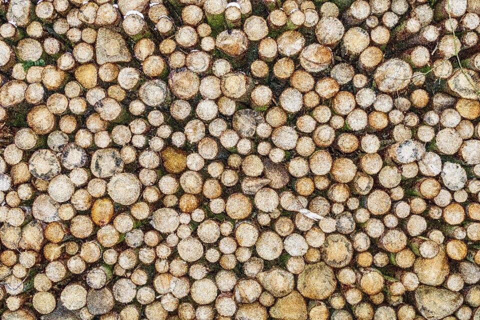 Pattern wood abstract