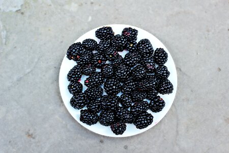 Fruits food gray fruits