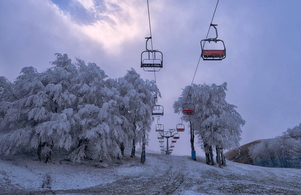 Frost frozen nature
