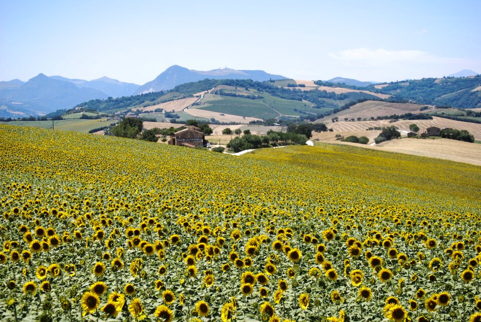 Campaign nature landscape