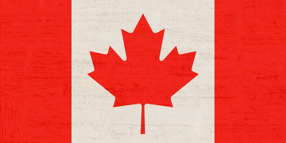 Maple red white