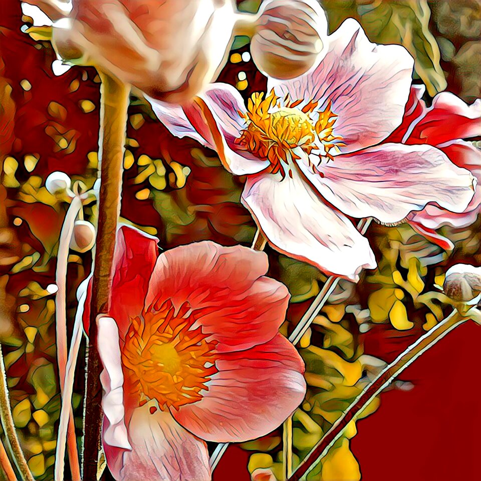 Plant painted graphics