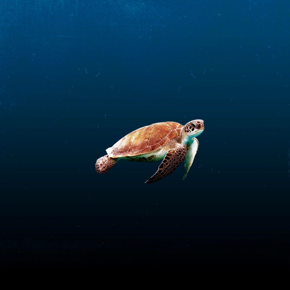 Blue calm underwater