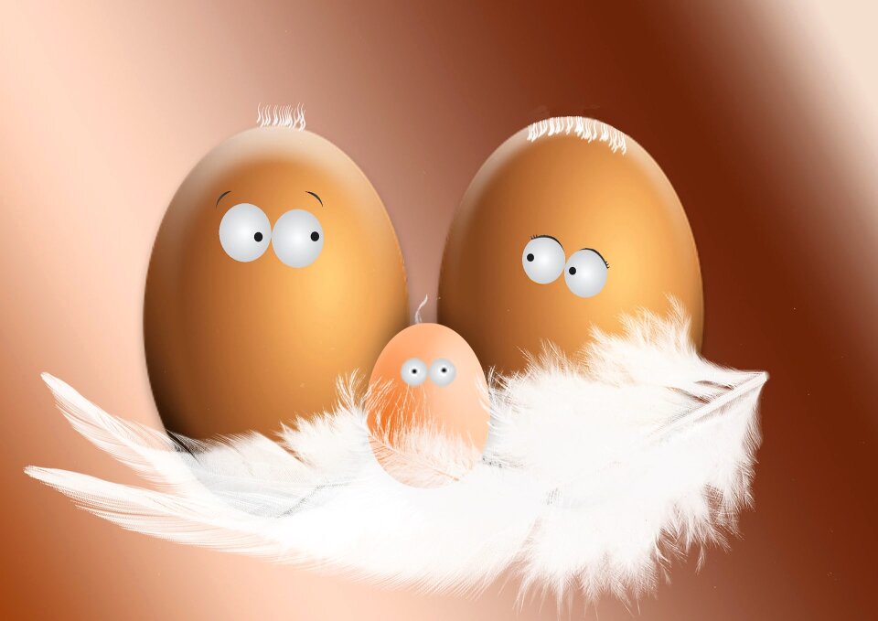 Brown eggs food eggshell