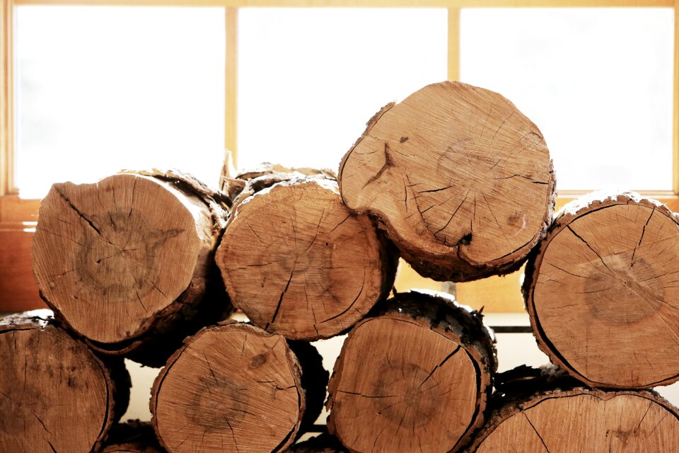 Lumber nature sunlight