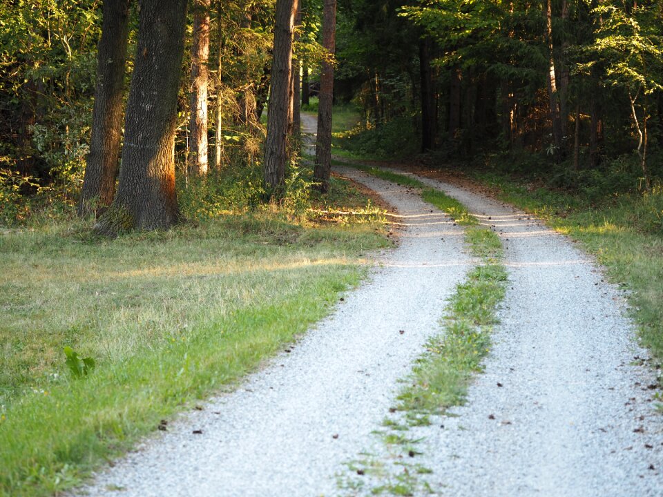 Hiking nature landscape