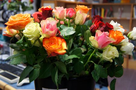 Bouquet ros flower