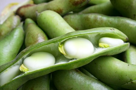 Food to grow beans