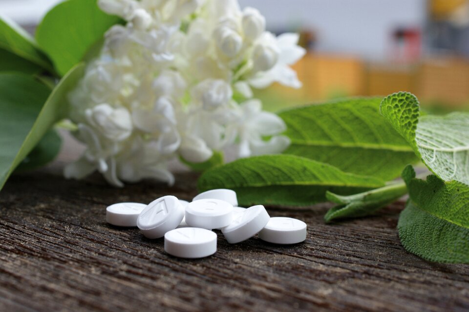 Schuessler alternative medicine homeopathy