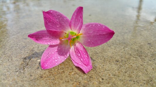 Reflection water drops