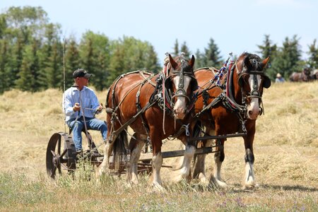 Man historic equipment photo