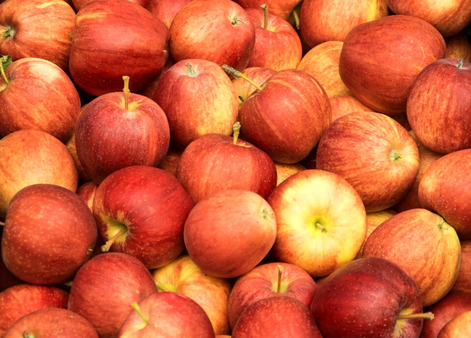 Healthy autumn vitamins