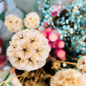 Jewelry（architecture） close-up dried flowers