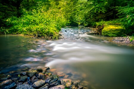 Landscape natural water forest photo