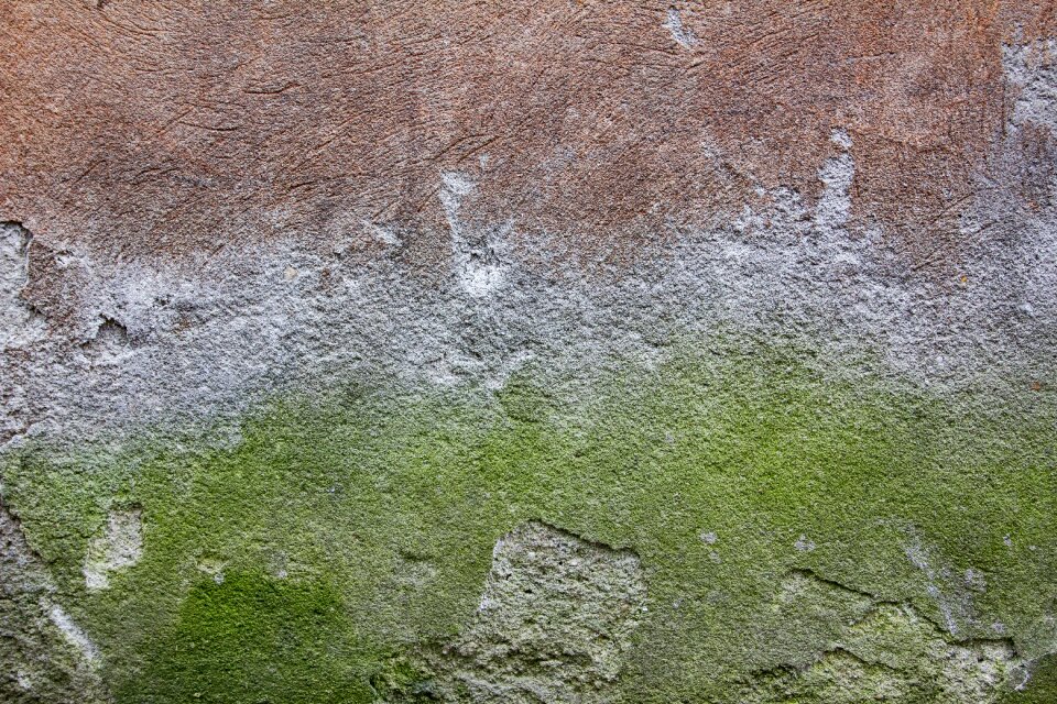 Wall texture green