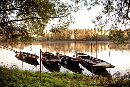 River wood barque sur la loire photo