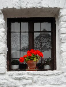 Family ornament door