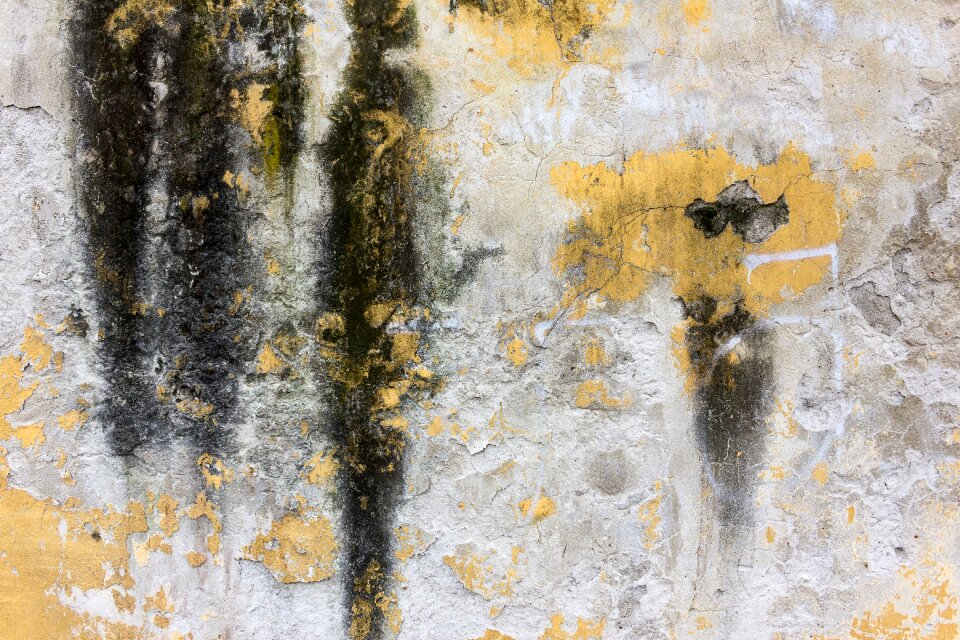 Concrete wall texture