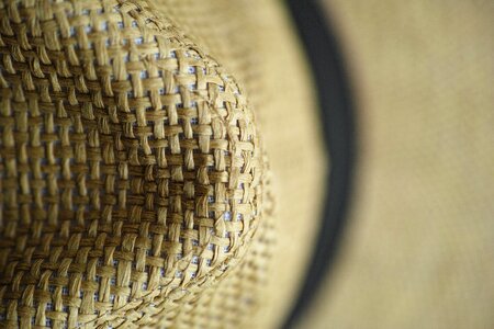 Macro solar summer