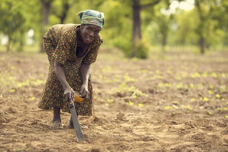 Farmer ghana brown farmer