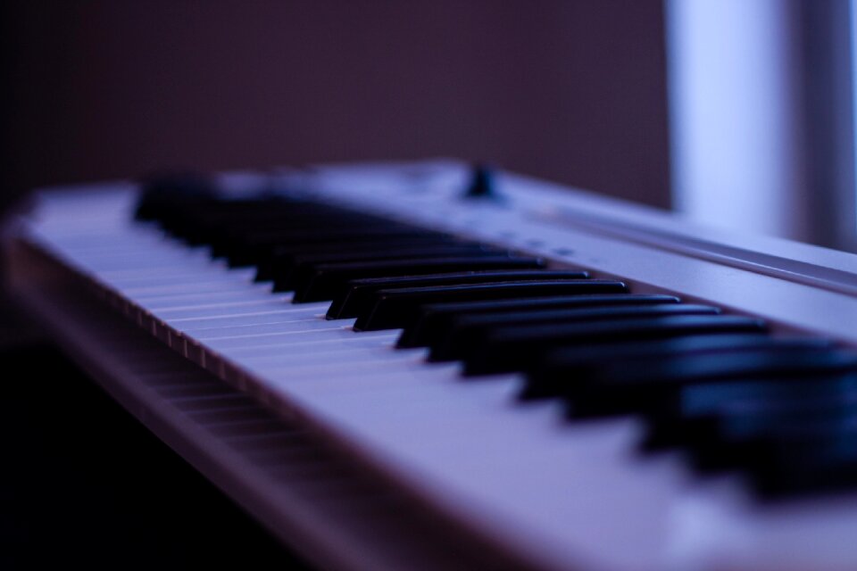 Music audio instrument