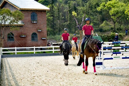Horse riding equestrian