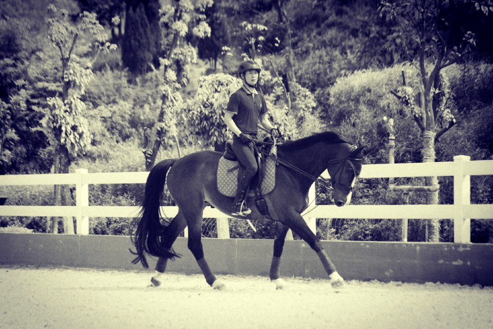 Horse riding equestrian