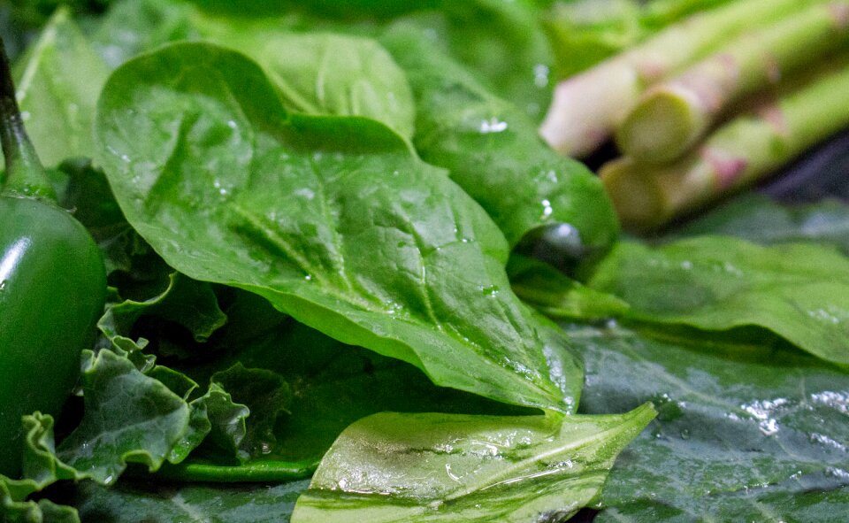 Healthy flora freshness