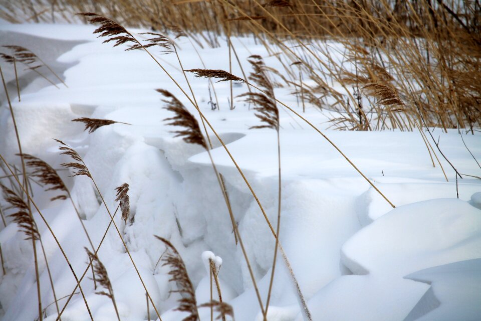 Rush snow wintry photo