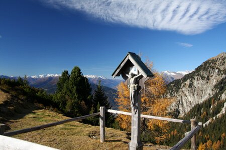 Landscape wood south tyrol