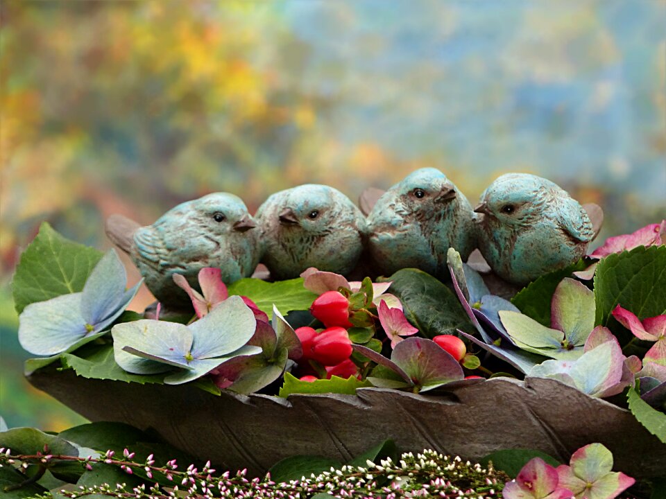 Flock of birds decoration hydrangea