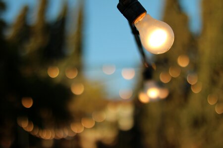 Warm light bulb decoration
