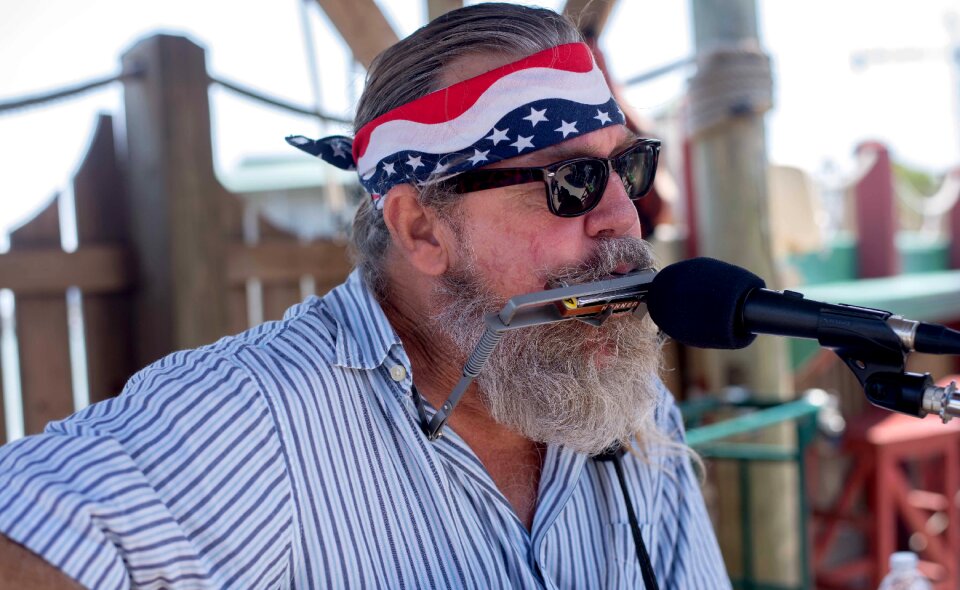 Harmonica live music entertainer