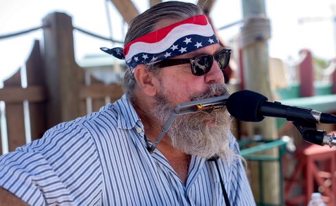 Harmonica live music entertainer