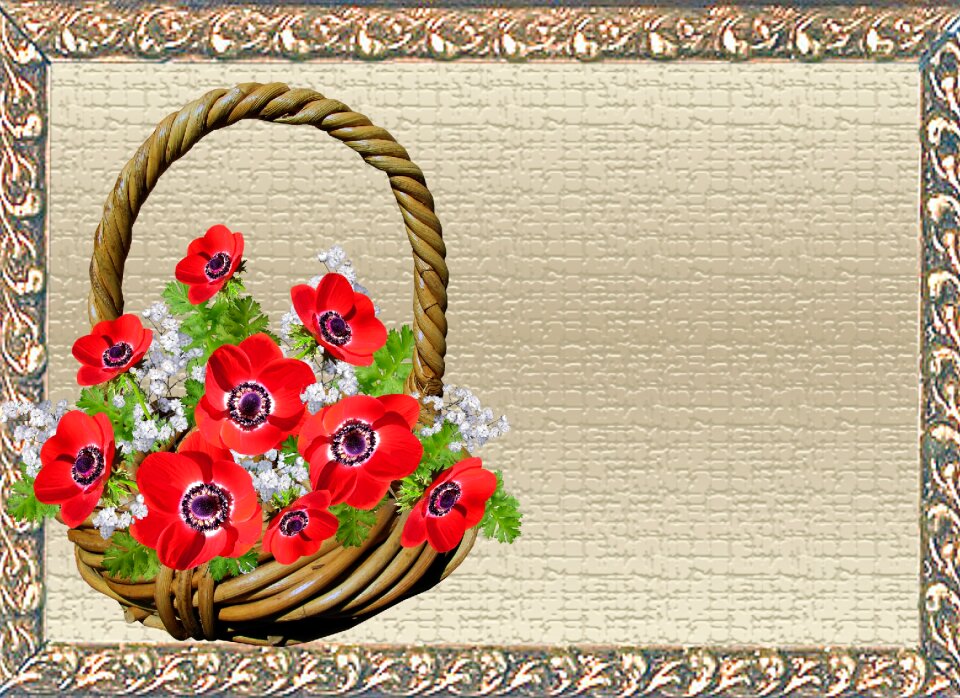 Anemone basket frame