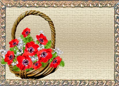 Anemone basket frame