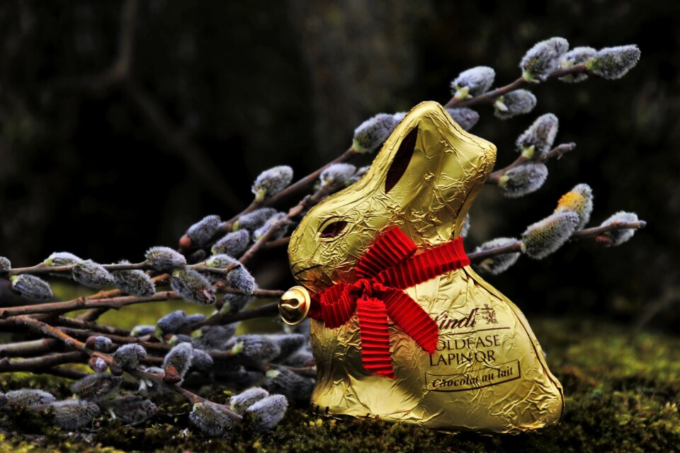 Rabbit the basis of easter