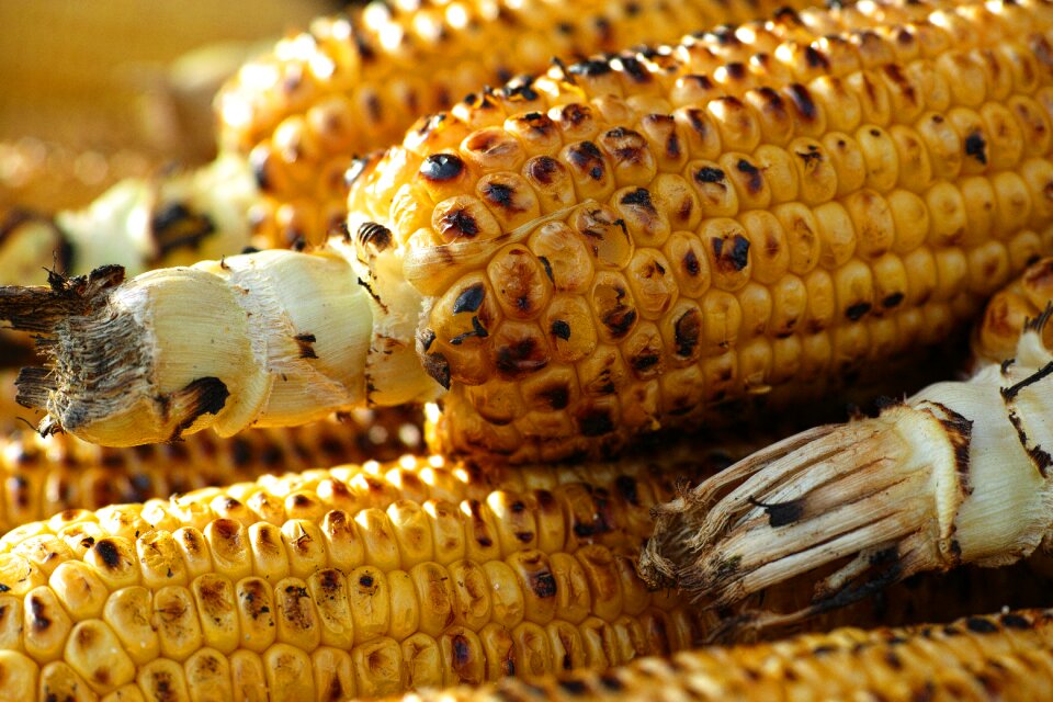Macro barbecue delicious
