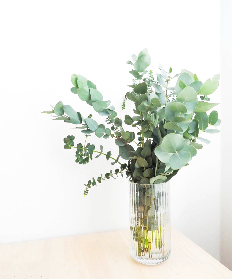 Interior flower water