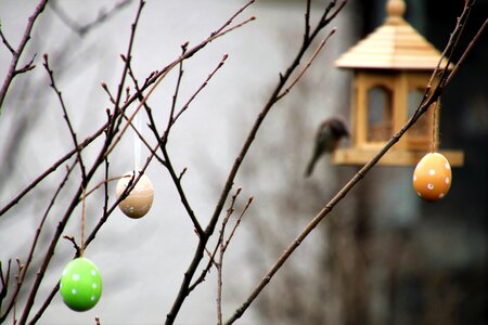 Decoration spring tree