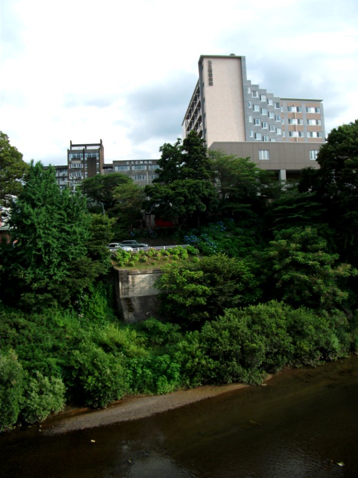 Iwase General Hospital